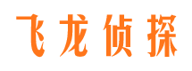 高平飞龙私家侦探公司